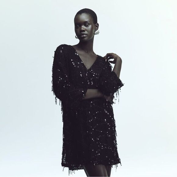 NWT Zara Sequins Fringe Mini Dress Sz XS‎ - Picture 2 of 14